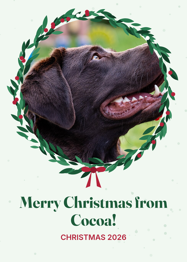 Example Christmas card with a dog photo in an evergreen wreath frame